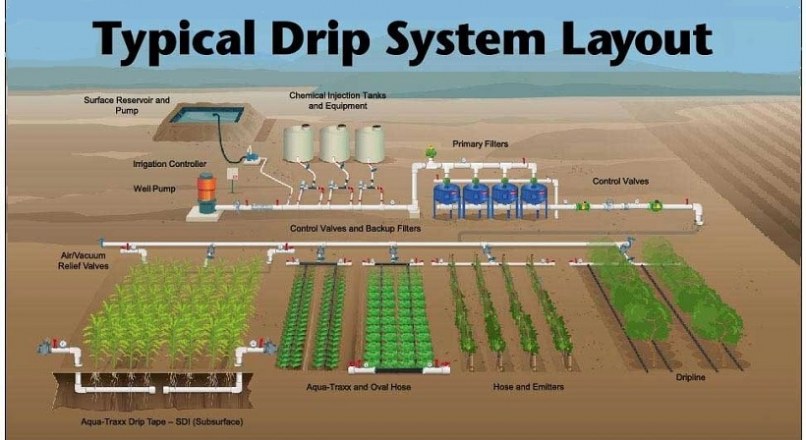 Drip Irrigation – Types, Advantages And Disadvantages
