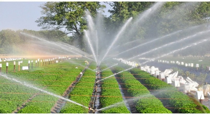 Sprinkler Irrigation – Advantages & Disadvantages