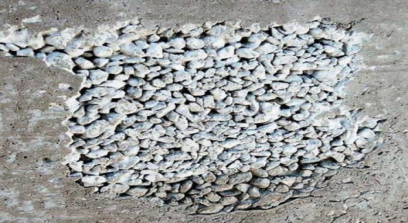 Honeycomb In Concrete – Causes, Prevention & Remedies