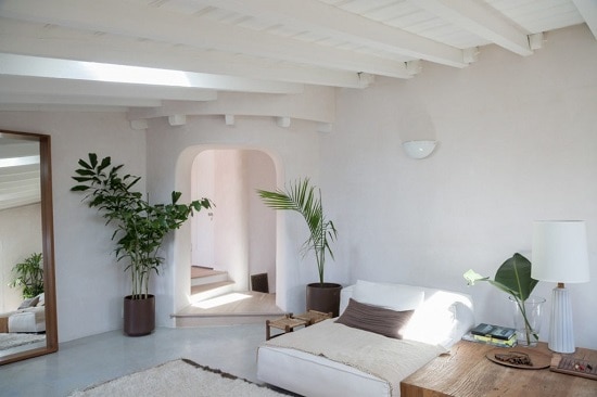 Cement Plaster Vs Gypsum Plaster