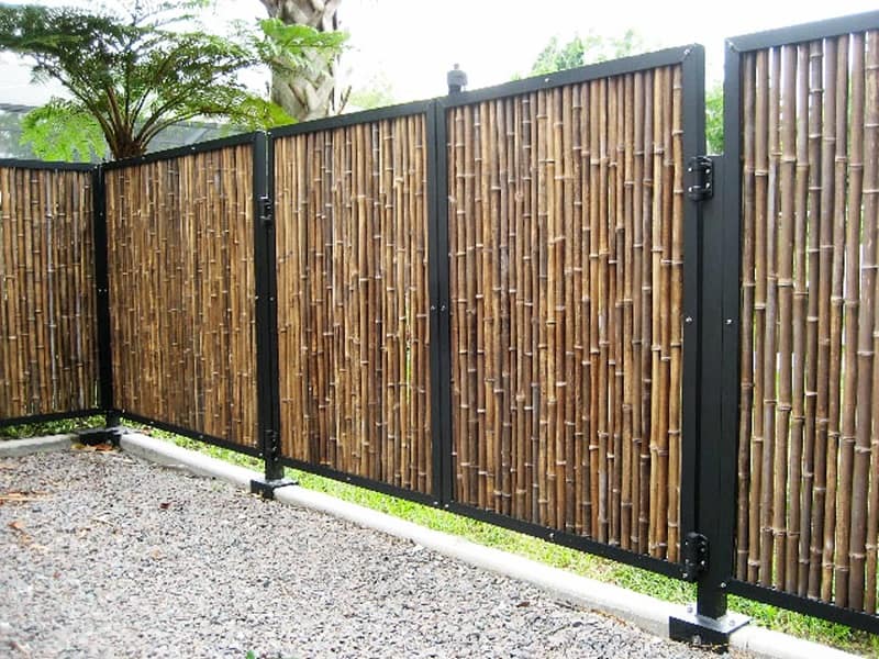 bamboo fence