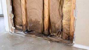 The Water Damage You Cannot See: How Moisture Hides in Building Materials