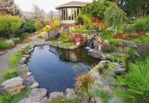 When Should You Hire a Professional Pond Contractor?